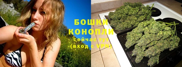 тгк Богданович