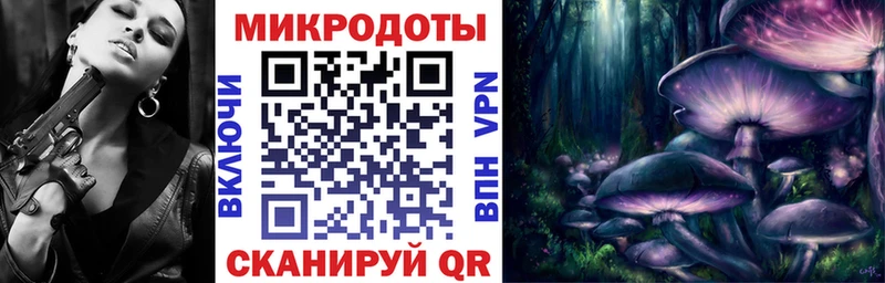 купить   Долинск  Псилоцибиновые грибы Psilocybe 